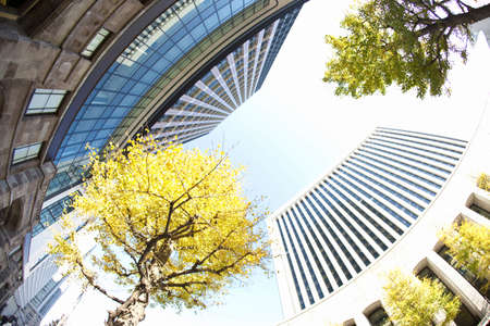 Arrayのeditorial素材