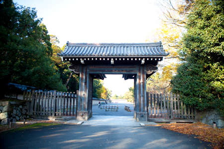 Arrayのeditorial素材