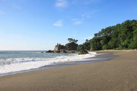 Arrayのeditorial素材