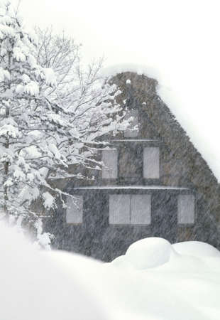 Arrayのeditorial素材