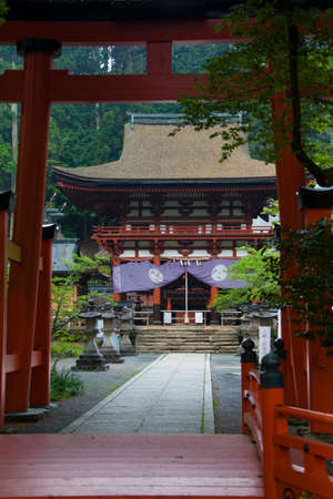 Arrayのeditorial素材