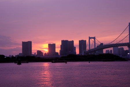 Arrayのeditorial素材