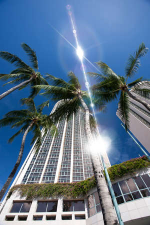 Arrayのeditorial素材