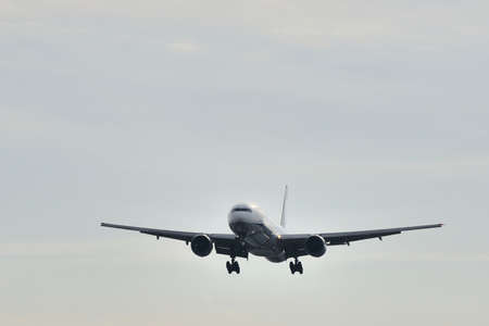 Arrayのeditorial素材