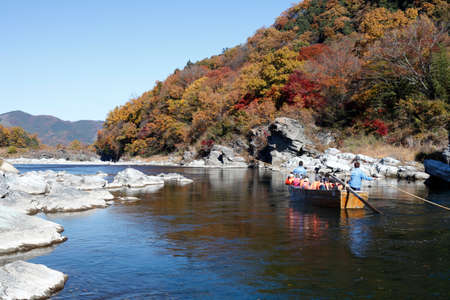 Arrayのeditorial素材