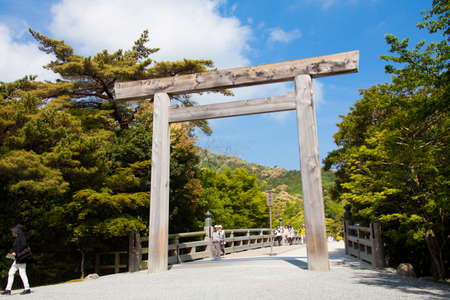 Arrayのeditorial素材