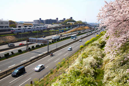 Arrayのeditorial素材