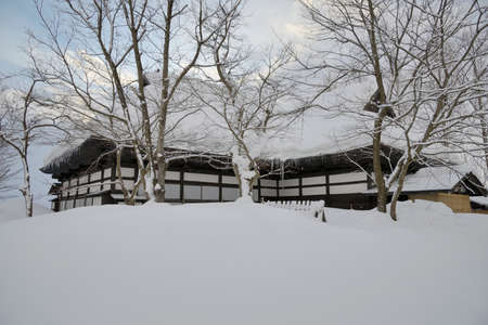 Arrayのeditorial素材