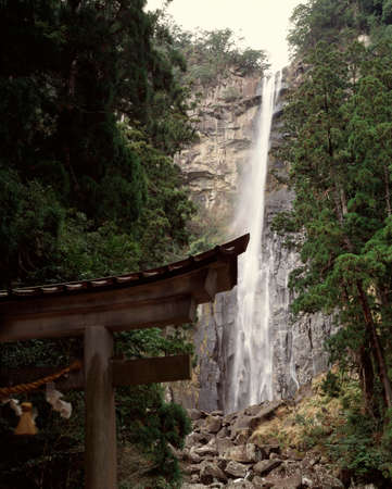 Arrayのeditorial素材