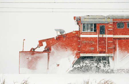 Arrayのeditorial素材