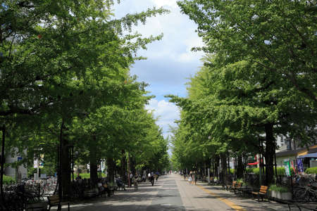 Arrayのeditorial素材