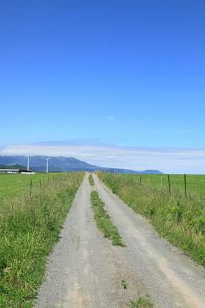 Arrayのeditorial素材