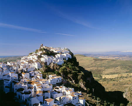 Arrayのeditorial素材