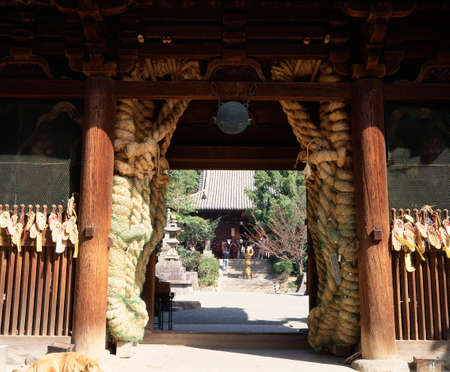 Arrayのeditorial素材