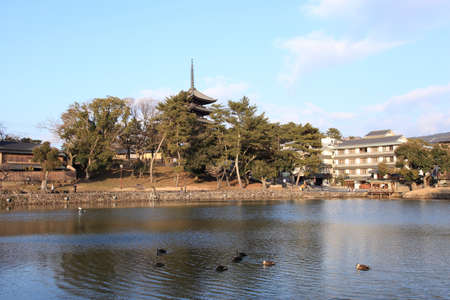 Arrayのeditorial素材