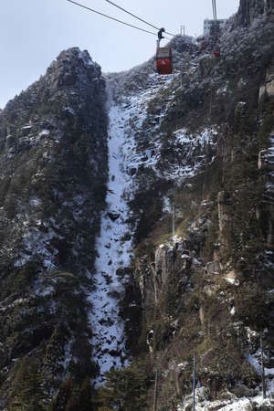 Arrayのeditorial素材