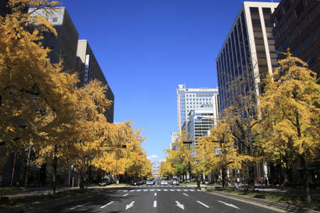 Arrayのeditorial素材