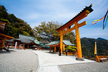 Arrayのeditorial素材