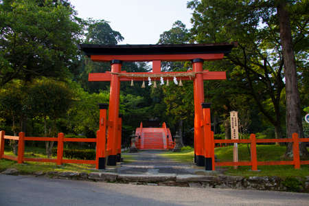 Arrayのeditorial素材