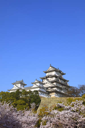 Arrayのeditorial素材