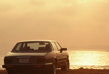 Arrayのeditorial素材