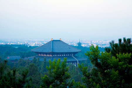 Arrayのeditorial素材