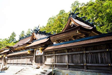 Arrayのeditorial素材