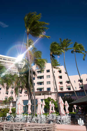 Arrayのeditorial素材