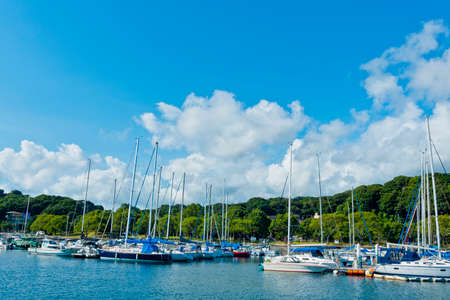 Arrayのeditorial素材