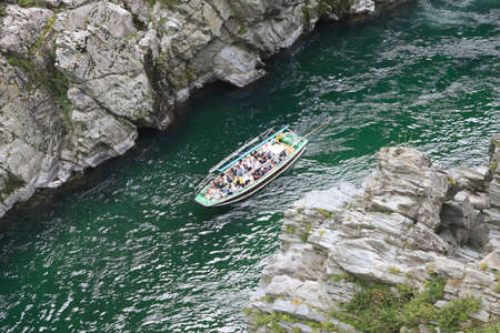 Arrayのeditorial素材