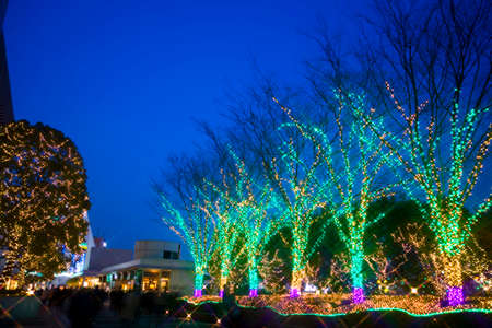 Arrayのeditorial素材