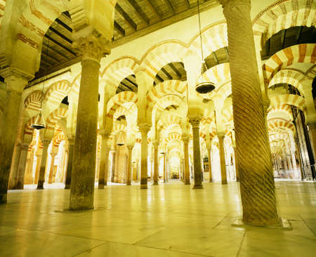 Arrayのeditorial素材