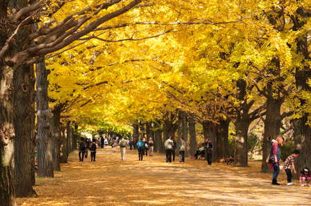 Arrayのeditorial素材