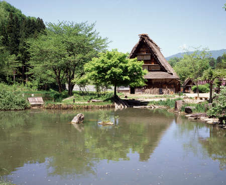 Arrayのeditorial素材