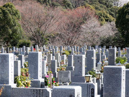 Arrayのeditorial素材