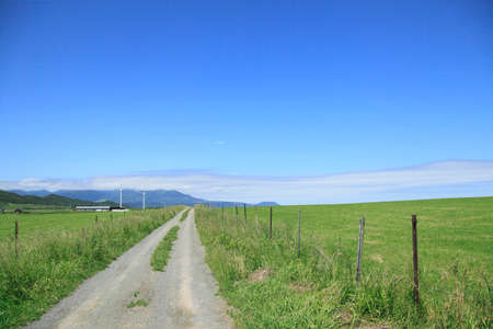 Arrayのeditorial素材