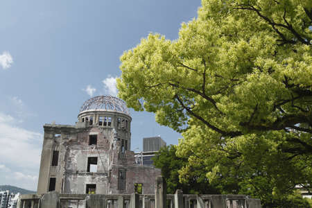 Arrayのeditorial素材