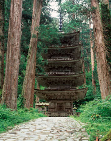 Arrayのeditorial素材