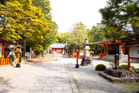 Arrayのeditorial素材