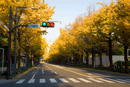 Arrayのeditorial素材