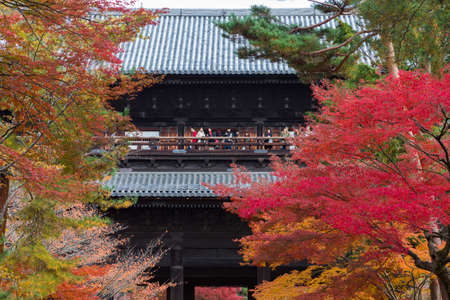 Arrayのeditorial素材