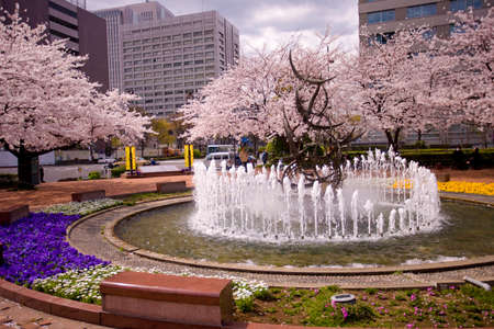 Arrayのeditorial素材