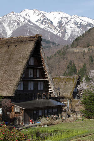 Arrayのeditorial素材