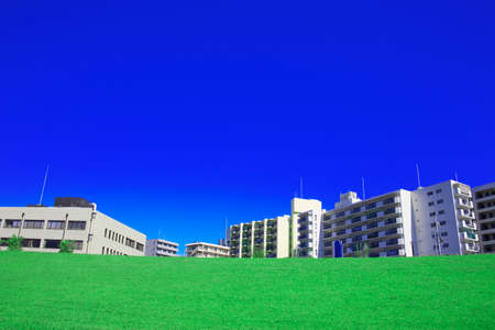 Arrayのeditorial素材