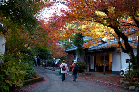 Arrayのeditorial素材