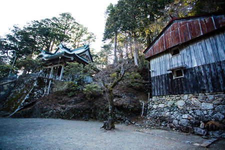 Arrayのeditorial素材