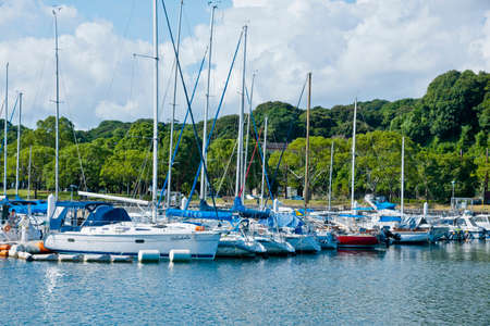 Arrayのeditorial素材