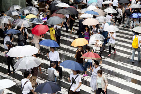 Arrayのeditorial素材