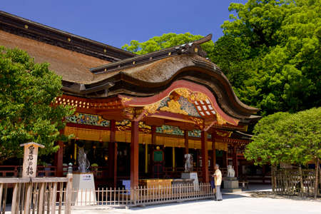 Arrayのeditorial素材