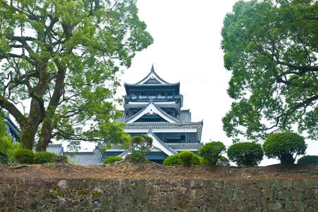 Arrayのeditorial素材